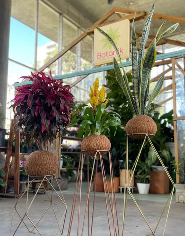 tiendas de jardineria bogota