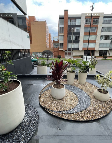venta de plantas para jardines en bogota